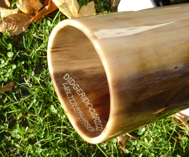 Woodslide Didgeridoo, Holz: Schwarznuss, teilbar, Design: natur, Ansicht: Bellend | Woodslide Didge, Wood: Black Nut, divisible, Design: nature, View: Bellend
