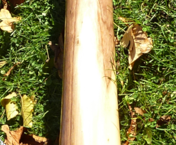 Original Woodslide Didgeridoo in der Gesamtansicht. Holz: Schwarznuss, Tonlagen F – C, Bestell Nr. 099 |  General view from original Woodslide Didge, Wood: Black Nut, Pitches F - C Order No. 099